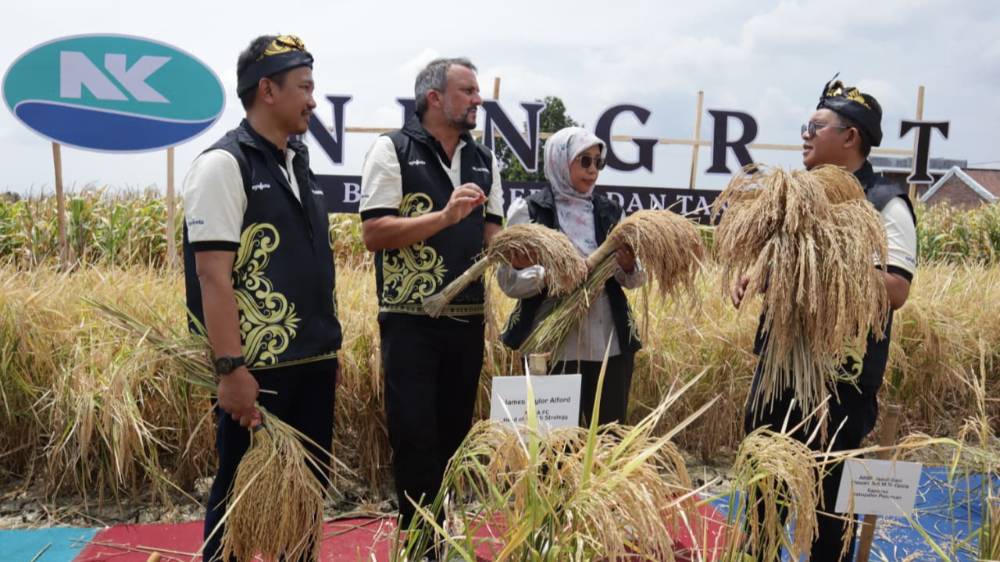 image_1756430664712_vaopj6