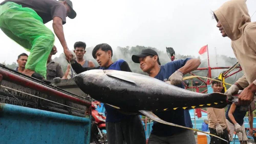 image_1757463427162_3s6nq1