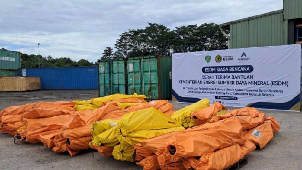 image_1765850864110_33vq03