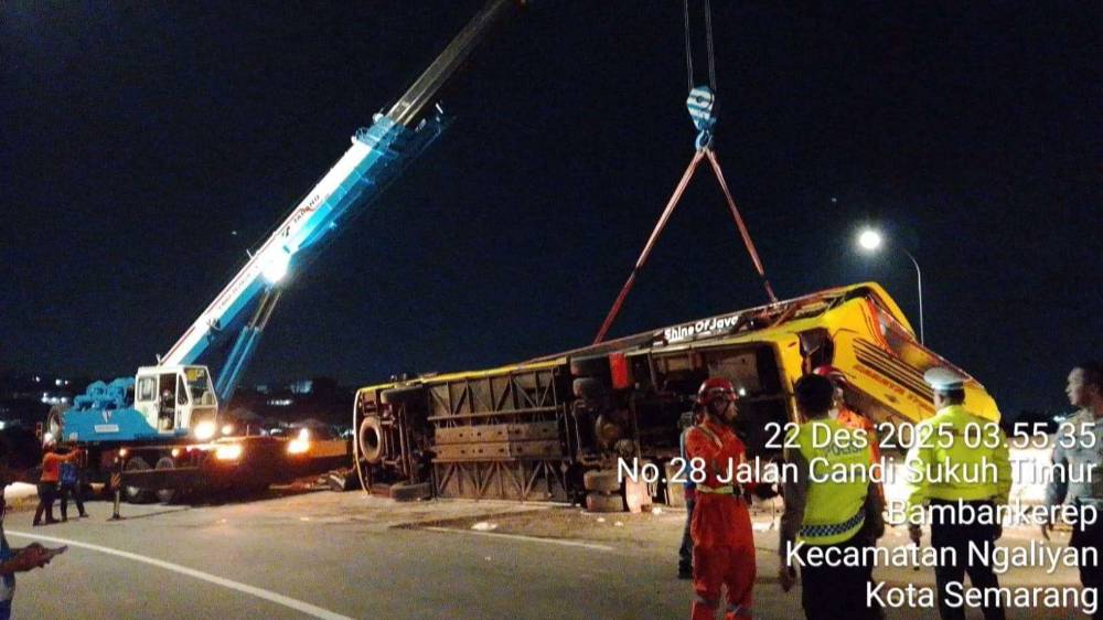 image_1766448198118_q4dxi8