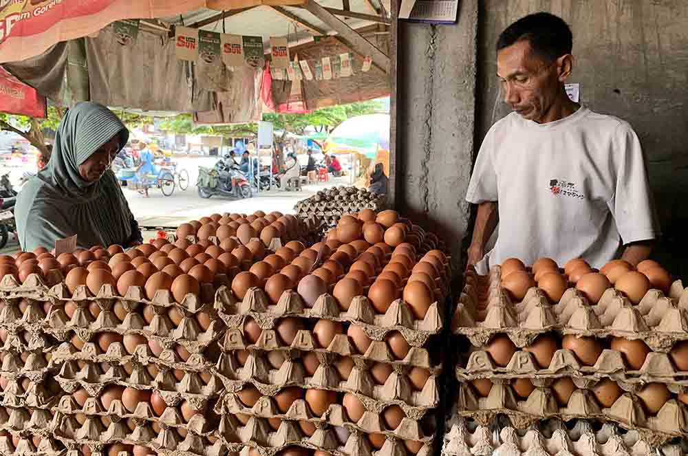 PEDAGANG-TELUR-ERANESIA