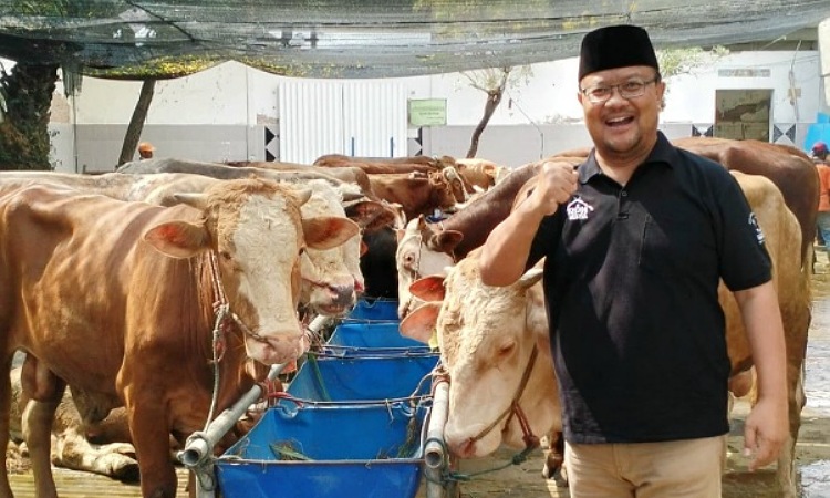 Minat pemotongan hewan kurban pada Iduladha 2026 di RPH terus meningkat. Kini sudah mencapai 114 sapi. RPH mentargetkan 250 sapi yang akan dikurbankan tahun ini.