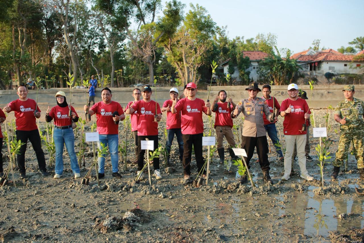 mangrove