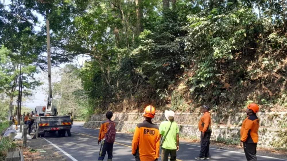 BPBD Jember Tangani Retakan Jalan 30 Meter di Gunung Gumitir, Antisipasi Longsor Jelang Musim Hujan